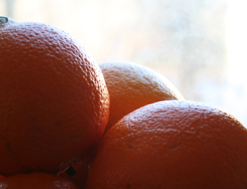 Citrus fruits: fashion trend or winter fridge essential?